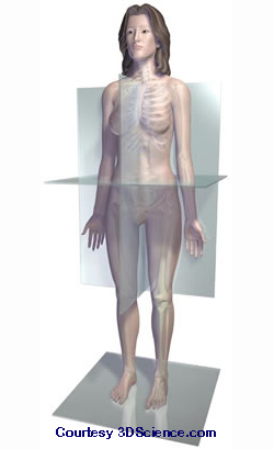 dorn structural balance picture dorn body structural balance